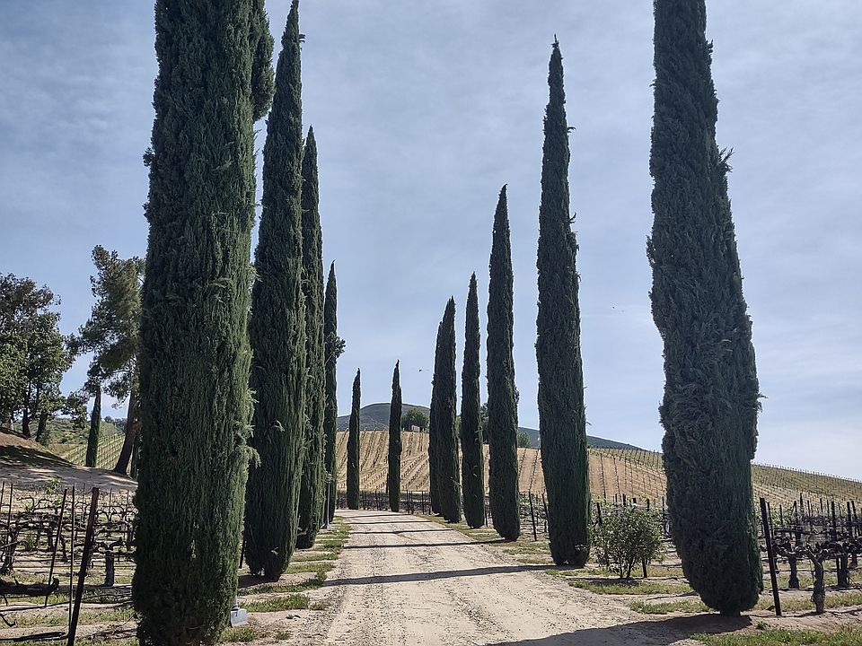 1st image of 37850 De Portola Rd