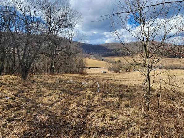 0 Chapman Brk, Shinglehouse, PA 16748