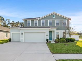 29569 Sedgeway Blvd, Wesley Chapel, FL 33544