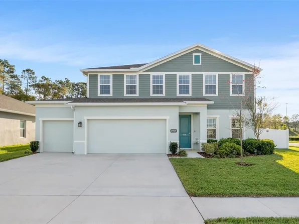 29569 Sedgeway Blvd, Wesley Chapel, FL 33544