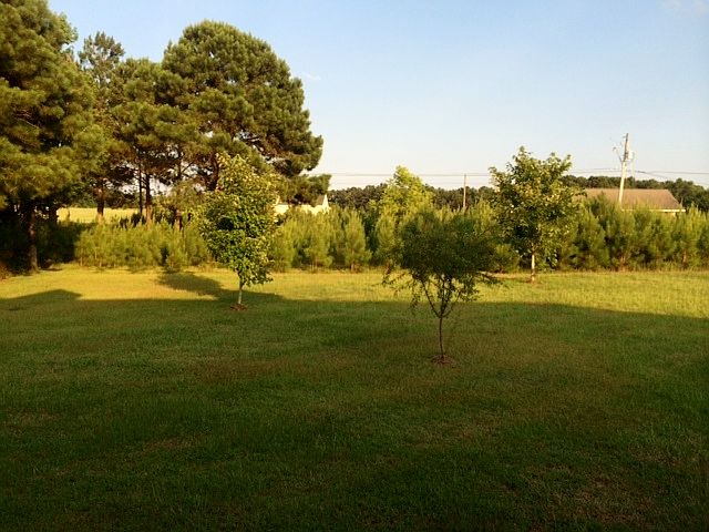 2nd image of 735 N County Road 33