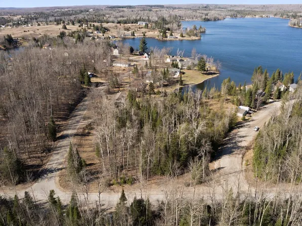 101 & 58 Lance Lake Rd, Wolverine, MI 49799