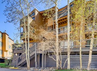 1513 E Keystone Rd #30, Dillon, CO 80435