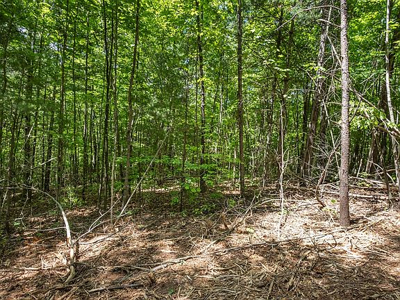 4th image of Pack Mountain Rd