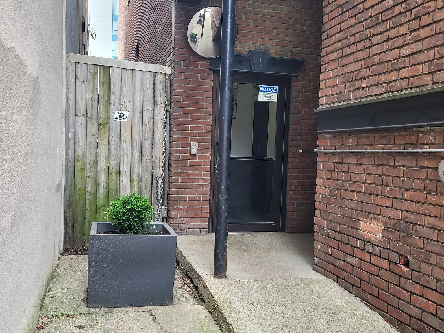 1 bed, $1,500 — Photo 2