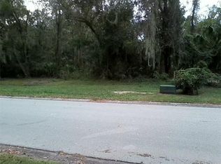 11323 Tralee Dr, Riverview, FL 33569