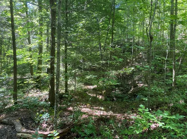 Obes Branch Rd, Sevierville, TN 37876