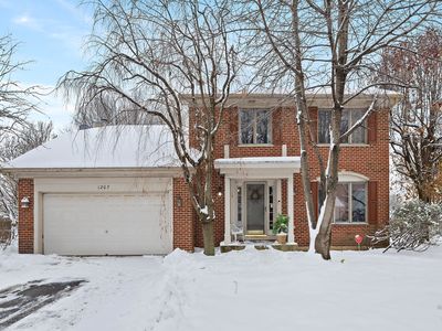 1207 Quail Run Ave, Bolingbrook, IL, 60490