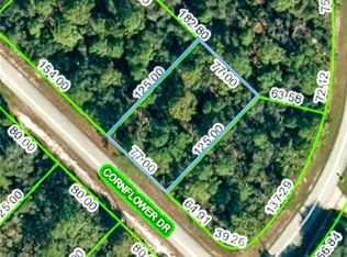 3223 Cornflower Dr, Lake Placid, FL 33852