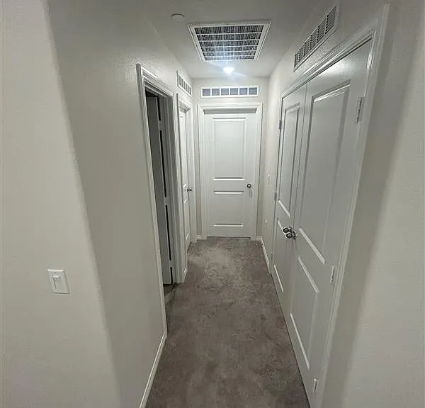 7258 Olive Grove St — Photo 14