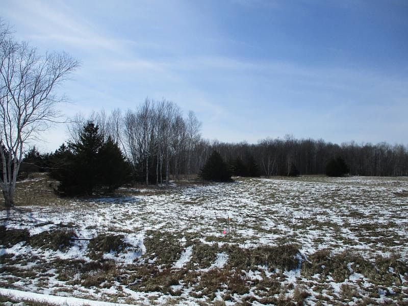 Maple Grove Rd, Deckerville, MI 48427 Zillow