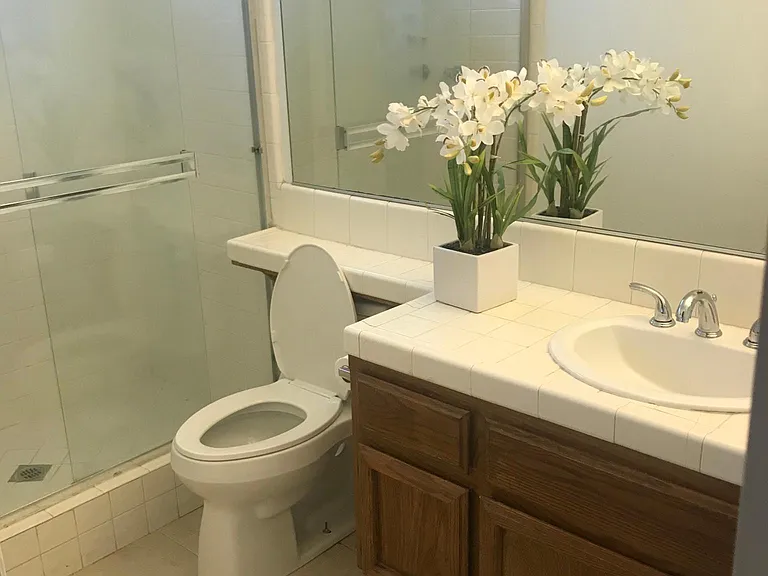 Master bathroom large shower