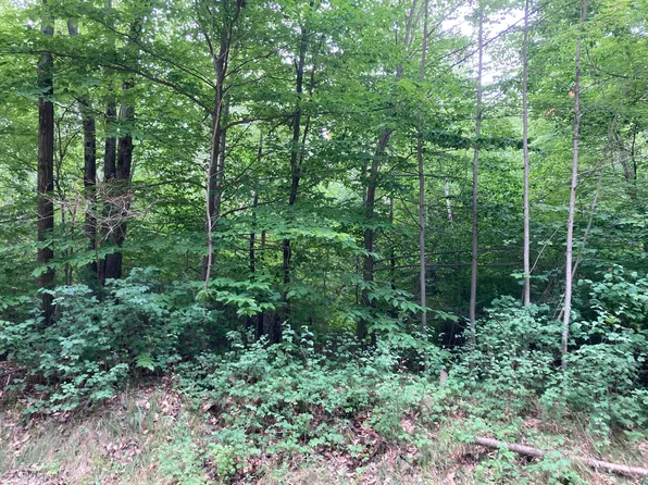 5525 W Herrick Rd, Farwell, MI 48622