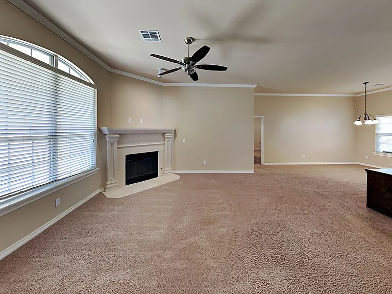9315 Peachtree Ln — Photo 4