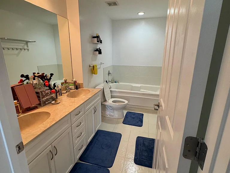 1250 S Michigan Ave #1702 — Photo 8