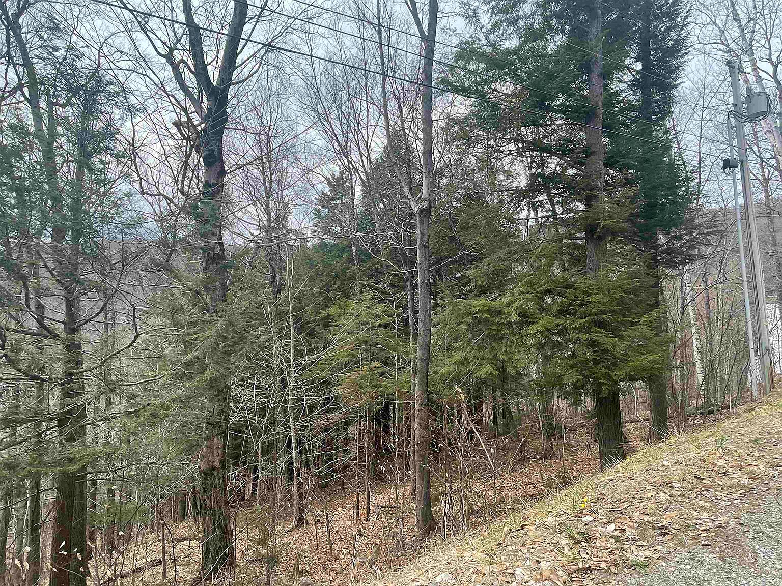 249 East Ash Road UNIT 249, Plymouth, VT 05056 MLS 4907455 Zillow