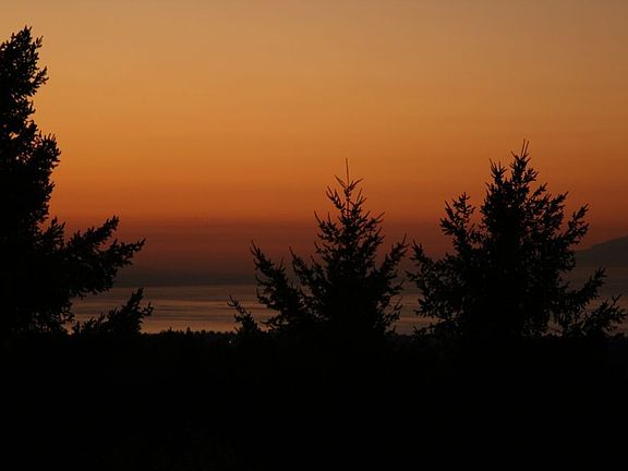 Morning at 932 Kings Canyon
