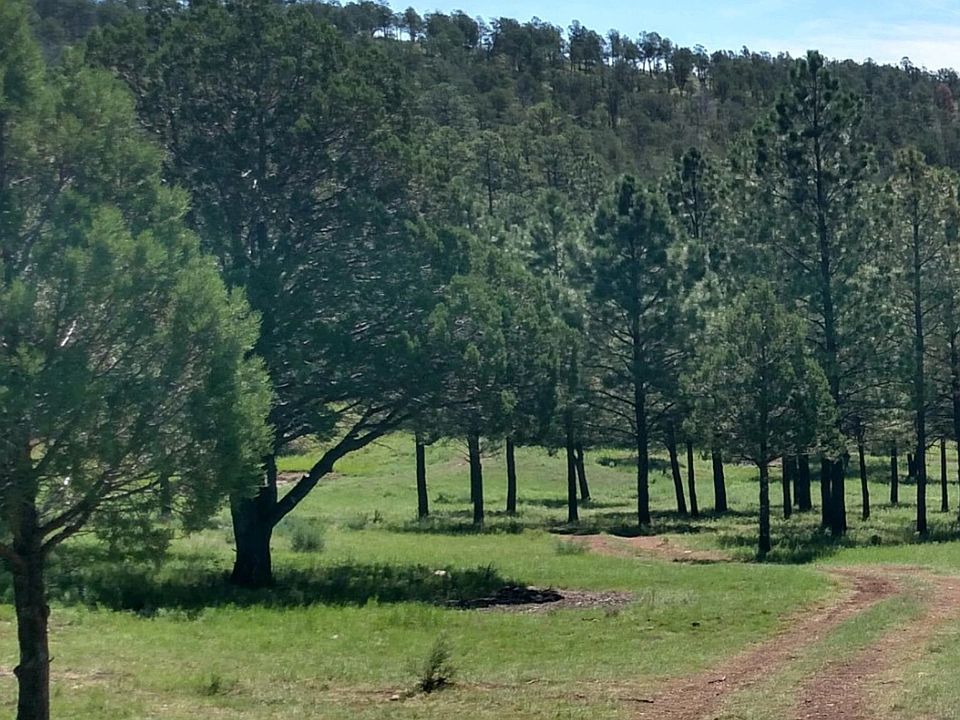 507 Walker Canyon Rd, Mayhill, NM 88339 MLS 167984 Zillow