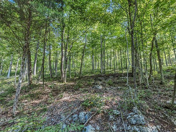 2nd image of 0 Greencastle Rd