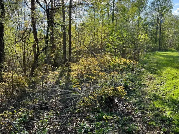 Pine Hollow Rd, Jacksboro, TN 37757