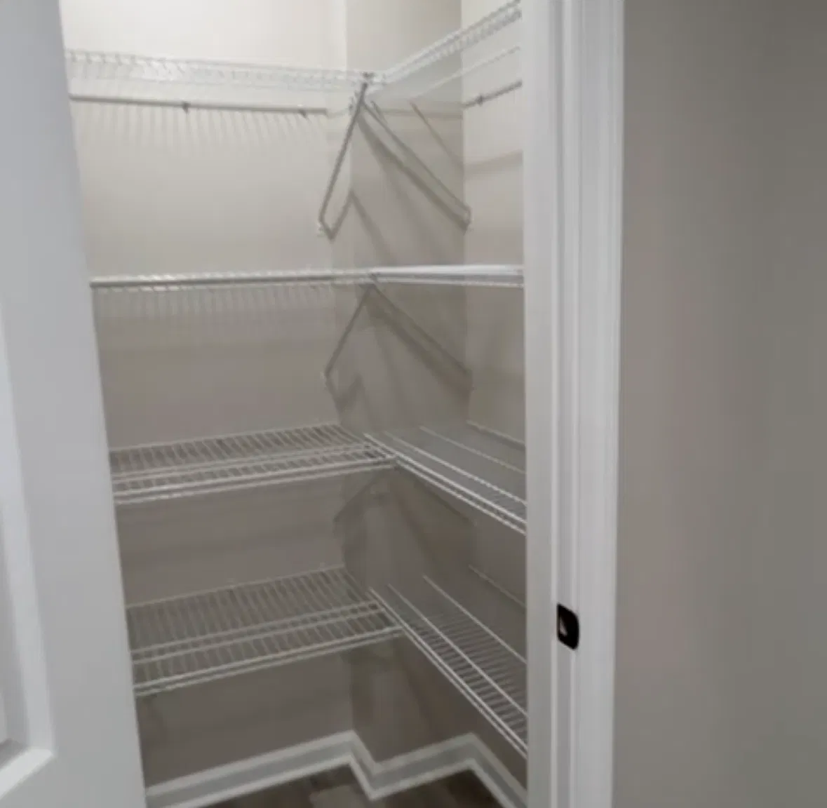1 bed, $1,350 — Photo 4