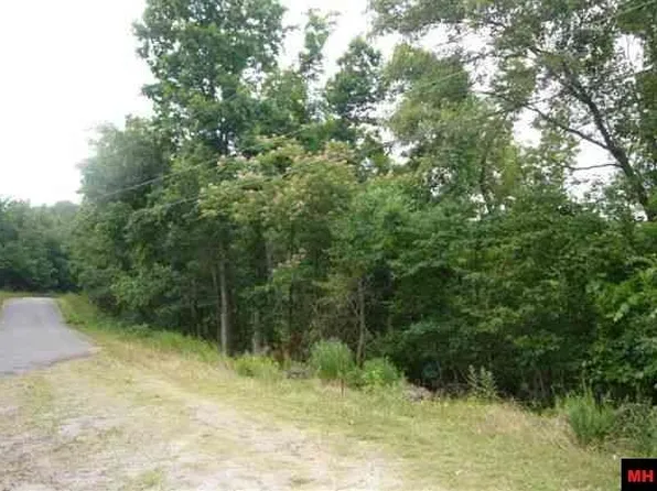 Lots 17 & 161 Country Club Dr, Bull Shoals, AR 72619