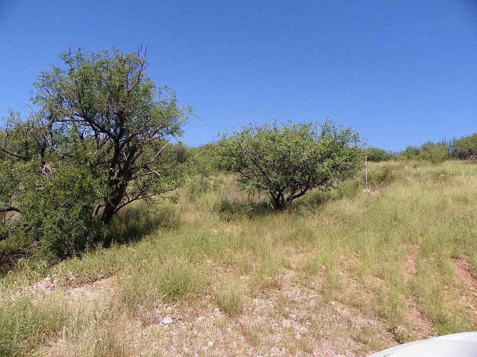 2nd image of 625 Zaire Ct