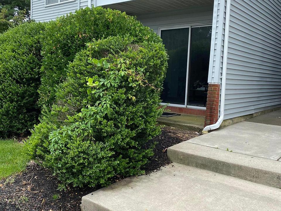 1st image of 49 Whitemarsh Ct #1520