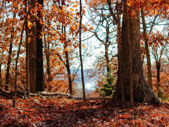 (undisclosed Address), Garfield, AR 72732