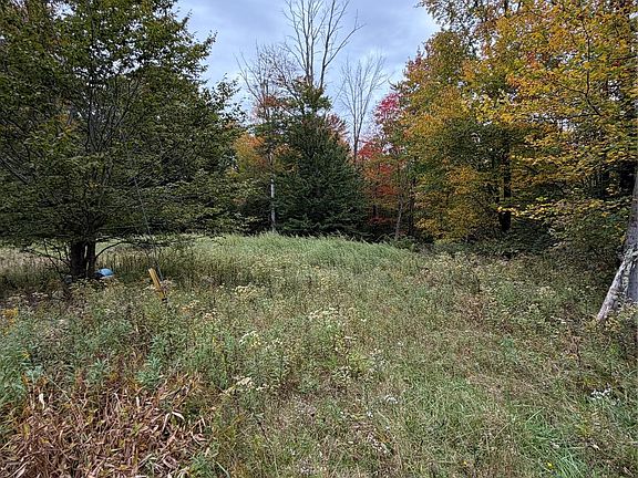 3rd image of Budd Road