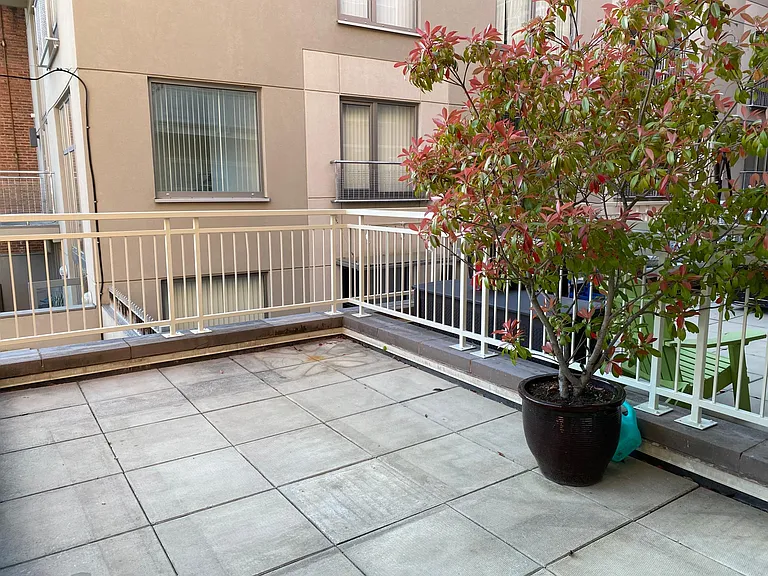 1464 Harvard St NW #6 — Photo 29
