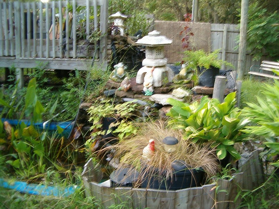 Golodfish Pond on side porch