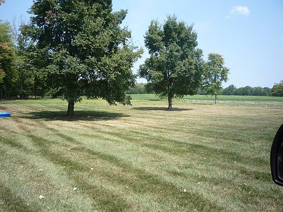 View of the backyard