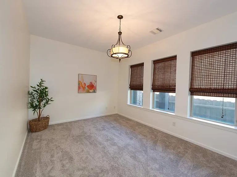 1008 Lone Ivory Trl — Photo 15