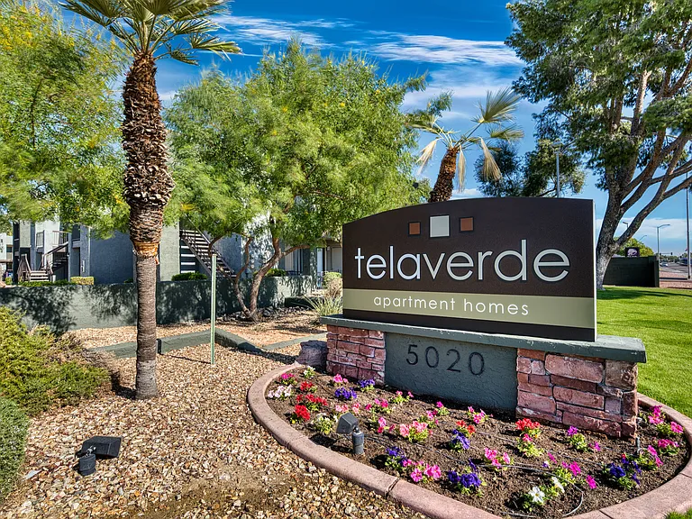 Tela Verde Apartment Homes — Photo 11
