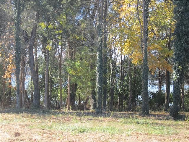2nd image of 133 Windmill Pointe Cir Lot 133