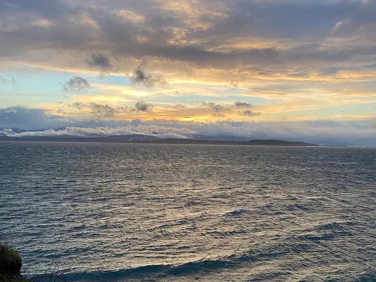 Window View