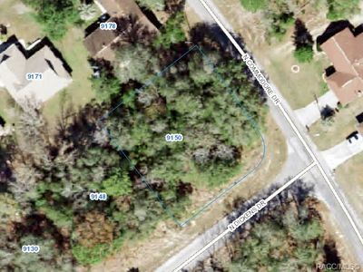 9150 N Dickens Dr, Citrus Springs, FL, 34434