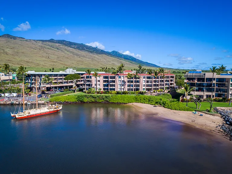 30 Hauoli St #204 — Photo 45
