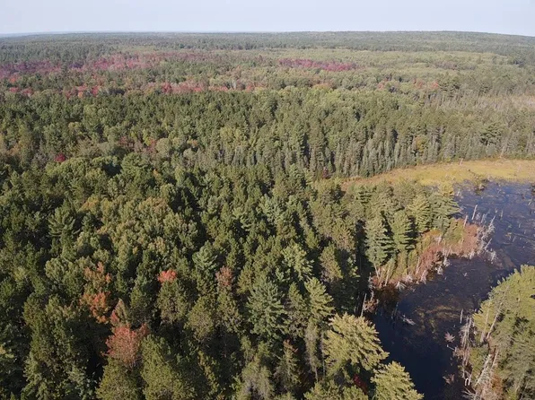 S Branch Trl, Indian River, MI 49749