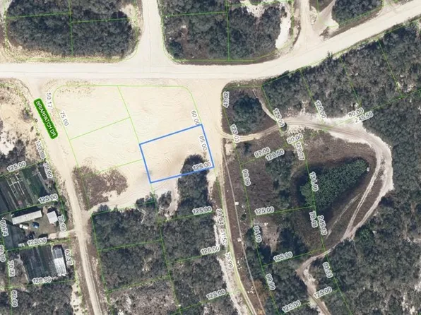 132 Joy Dr, Lake Placid, FL 33852