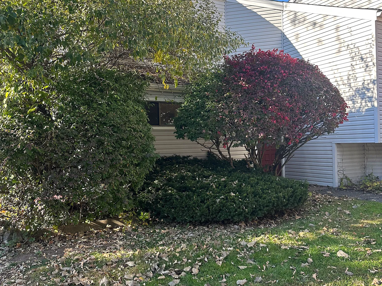 2 bed, 1.5 bath, 1165 sqft, $1,975 — Photo 1
