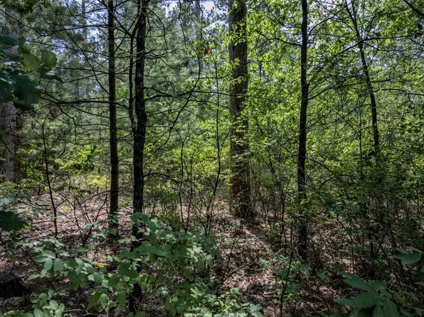 857 Czech Ave, Friendship, WI 53934