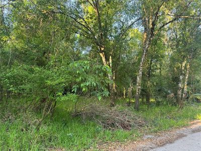 NE RIVER MILL DRIVE LOT 2, Arcadia, FL, 34266
