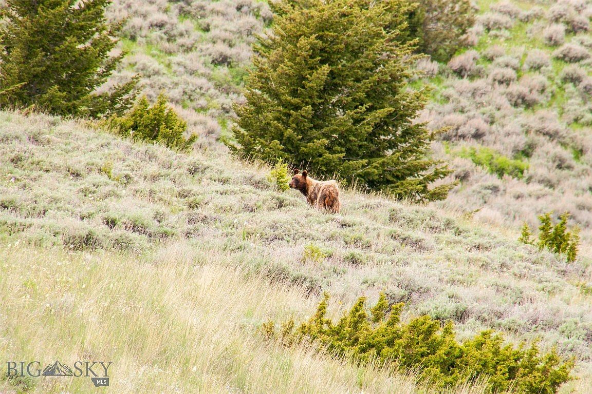 PARCEL Axolotl Lakes Rd C, Ennis, MT 59729 Zillow