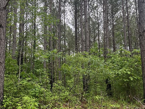 4th image of 0 Old Mail Rd Lot 34