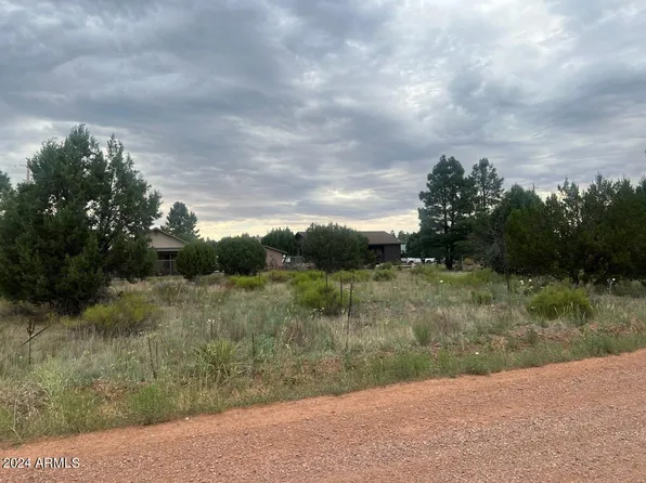 2222 SITGREAVES Drive #270, Overgaard, AZ 85933