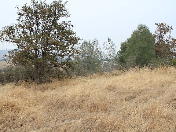 3rd image of Zarzamora St
