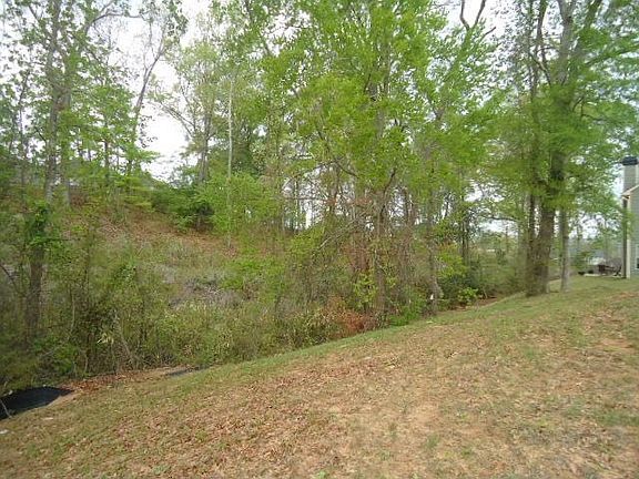 3rd image of 45 Misty Forest Dr