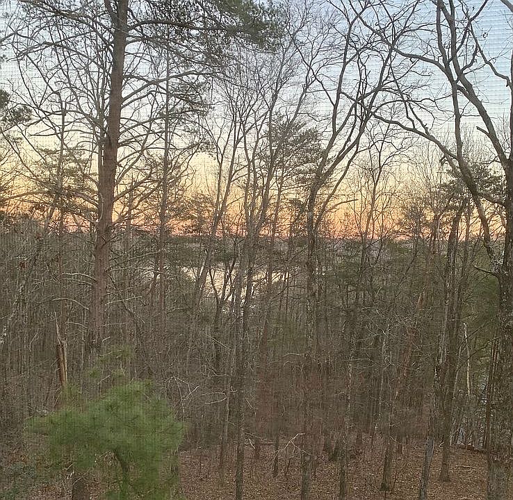 View from Master Bedroom